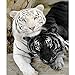Yumeart Diamond Painting Cross Stitch Black and White Tiger Needlework Mosaic Embroidery Hobbies Craft Home Decor 30x40cm(12x16