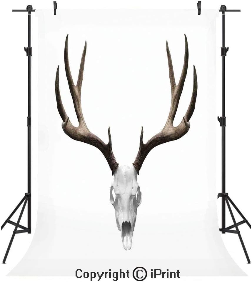 Amazon Com Antlers Decor Photography Backdrops A Deer Skull