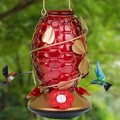 Fenley Hummingbird Feeders for Outdoors,Upgraded Leak Proof No Fade Red Glass Window Hummingbird Feeders, Easy Install Refill Clean Nectar Humming Bird Feeder for Garden Backyard Decorative-21 oz