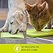 Slow Feeder Mat for Dogs (perfect for dog food, dog treats, yogurt, or peanut butter) [Fun Alternative to a Slow Feed Dog Bowl]