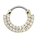 Lined Paved Clear Gems Gold IP 316L Surgical Steel Round Septum Clicker 115GC