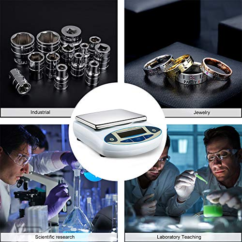 0.01 Gram Digital Lab Scale Analytical Balance Precision Scientific