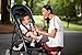 Graco LiteRider LX Stroller Travel System, Landry