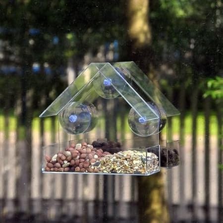 Glass Window Clear Viewing Bird Feeder Table Seed Peanut Hanging