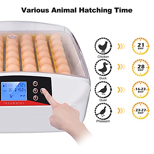 Sailnovo Egg Incubator，Intelligent Automatic Digital Hatching 55 Eggs