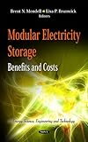 Modular Electricity Storage : Benefits and Costs, Mendell, Brent N. and Brunwick, Lisa P., 1614704597