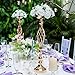 2 Pcs Metal Flower Vase, Wedding/Party Flowers Centerpieces for Table, Tall Candle Holder for Pillar Candle (Rose Gold, 23inch-59CM)