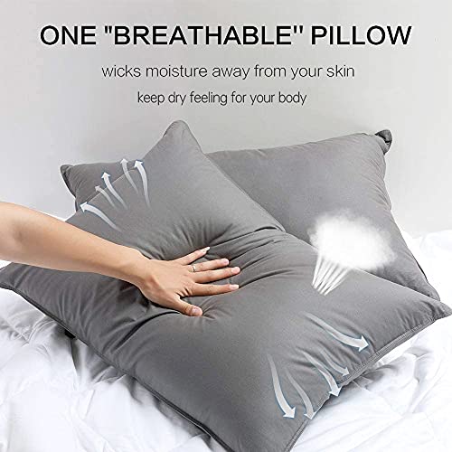 Dorrin Nessin Premium Siberian Goose Down Feather Pillows for Sleeping