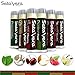 Seta Vera 6 Pack Lip Balm Organic Natural Beauty Products Chapstick Skin Care - Set - Best Treatment Moisturizer for Chapped Lips