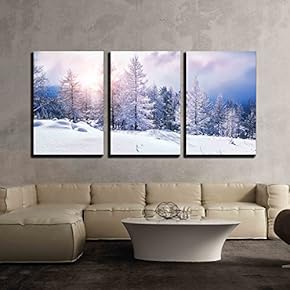 3 Piece Canvas Wall Art - Snow Covered Trees in The Mountains at Sunset. Beautiful Winter Landscape. Winter Forest. - Modern Home Art Stretched and Framed Ready to Hang - 16"x24"x3 Panels