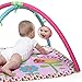 Bright Starts Charming Chirps Activity Gym and Play Mat with Take-Along Toys, Ages Newborn +, Pretty in Pink