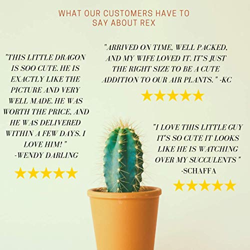 Top-Collection-Rex-The-Green-Dragon-Mini-Collectible-Fantasy-Figurine-Planter-Perched-on-Planter