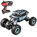 ZJTL Remote Control Toy Blue Rally Buggy RC Car 2.4Ghz 4 WD High Speed Crawler 1:18 Scale Size w/ Working Suspension, Spring Shock
