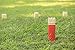 Triumph Premium Kubb Set - Includes 10 Kubb Blocks, 6 Tossing Dowels, 1 King Kubb 4 Corner Pegs
