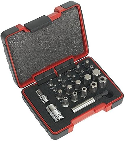 Juego de puntas Torx Plus y TS Plus -23 Pzs.: Amazon.es: Coche y moto