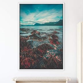 signwin Framed Canvas Mountain Lake View Global Landscape...