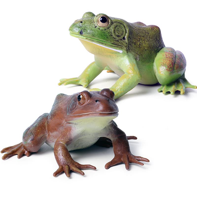 Photo 1 of ***FACTORY SEALED***SCAHOW Realistic Tree Frog Figure Plastic Hand Painted Bullfrog Figurine  Rubber Animal Model ***FACTORY SEALED***