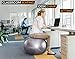 SmarterLife Exercise Ball Yoga Ball for Fitness, Balance, Stability, or Pregnancy, Gym Ball for Core Workout, Physical Therapy, Yoga Ball Chair for Office, Anti-Slip Anti-Burst (65 cm, Silver)