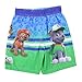 Nickelodeon Paw Patrol Toddler Boys Swim Trunks