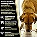 Victor Super Premium Dog Food – Purpose - Senior Healthy Weight – Gluten Free Weight Management Dry Dog Food for Senior Dogs with Glucosamine and Chondroitin, for Hip and Joint Health, 5lbs