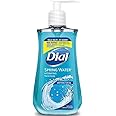 Dial Complete Antibacterial Liquid Hand Soap, Spring Water, Blue, 7.5 fl oz (Pack of 1)