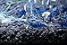 SoShrimp 5 Dream Blue Velvet Shrimp - Neocaridina davidi Live Freshwater Aquarium Shrimp - 1/4 to 1 inch Long