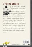 Image de Colmillo blanco / White Fang (Tus libros seleccion/ Your Book Selection) (Spanish Edition)