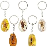 SHIDXIB 5Pcs Creative Amber Insect Scorpion Keychain for men Pendants Amber Decors