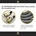 McLaurus 50' Expandable Garden Hose Lightweight, Retractable & Flexible, Super Durable Solid Brass Fittings, Free Spray Gun Nozzle, Latex Low Pressure Anti-Abrasion Inner Tube, Water Saver