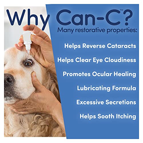 Cataract Removal Cataract Eye Surgery For Dogs Can-C Dog Eye Drops