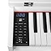 LAGRIMA Digital Piano, 88 Key Electric Keyboard Piano for Beginner W/Music Stand+Power Adapter+3-Pedal Board+Instruction Book+Headphone Jack(White Only Piano)