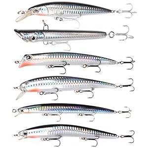 Dr.fish Ensemble De Leurres De Pêche Au Gros En Mer, Carpe, Maquereau, Saumon, Morue, Bar, Truite De Mer, 12,5 Cm