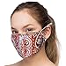 Debrief Me Anti Dust Face Mouth Cover Mask Respirator - Dustproof Anti-bacterial Washable - Reusable masks Respirator Comfy - Cotton Germ Protective Breath Healthy Safety Warm Windproof (Orange-Mix)