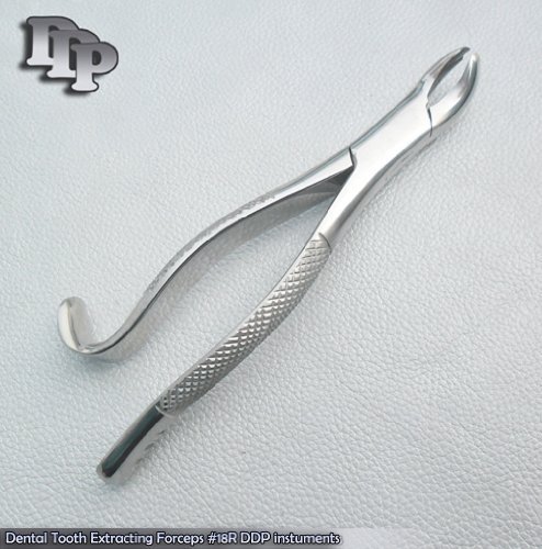 Dental Extracting Forceps Set – #150, 151 & 23 Surgical Instruments, Stainless Steel, Atraumatic Tips