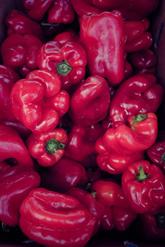 All Good Things Organic Seeds Chinese Giant Red Bell Pepper Seeds (~35): Certified Organic, Non-GMO, Heirloom, Open Pollinated Seeds from the United States All Good Things Organic Seeds Chinese Giant Red Bell Pepper Seeds (~35): Certified Organic, Non-GMO, Heirloom, Open Pollinated Seeds from the United States