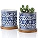 Greenaholics Succulent Plant Pots - 3 Inch Small Ceramic Flower Planter Indoor with Drainage Hole and Bamboo Saucer for Medium Succulents or Mini Cactus - Mandala Blue and White Set of 2