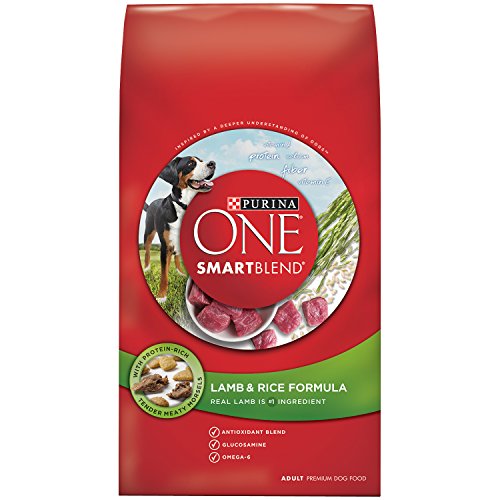 Purina ONE SmartBlend Lamb & Rice Formula Dry Dog Food