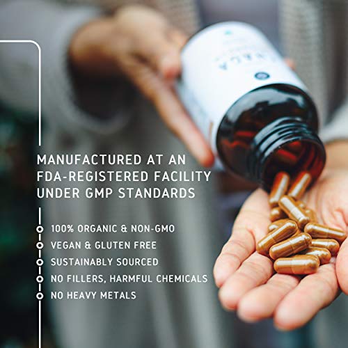 image for Neurogan Chaga Mushroom Capsules (120 Capsules) - 1000mg Wild Harveste