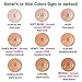 Better'n Ur Skin Organic Liquid Foundation (3 COLOR TESTER PACK: MEDIUM) | Healthy, Buildable Coverage | All Natural | Vegan | Cruelty Free | Gluten Free | Non GMO | Palm Free | Natural Sun Protection