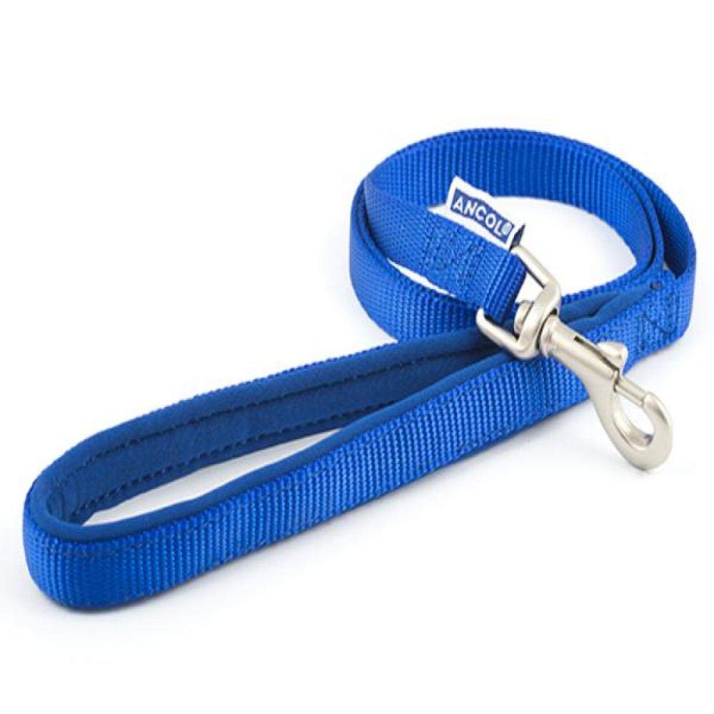 Ancol Nylon Lead (1mx19mm) (Blue)