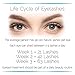 Eyelash Growth Serum - Eyelash and Brow Growth Treatment For Lashes - 5mL Eyelash Formula by FabuLash