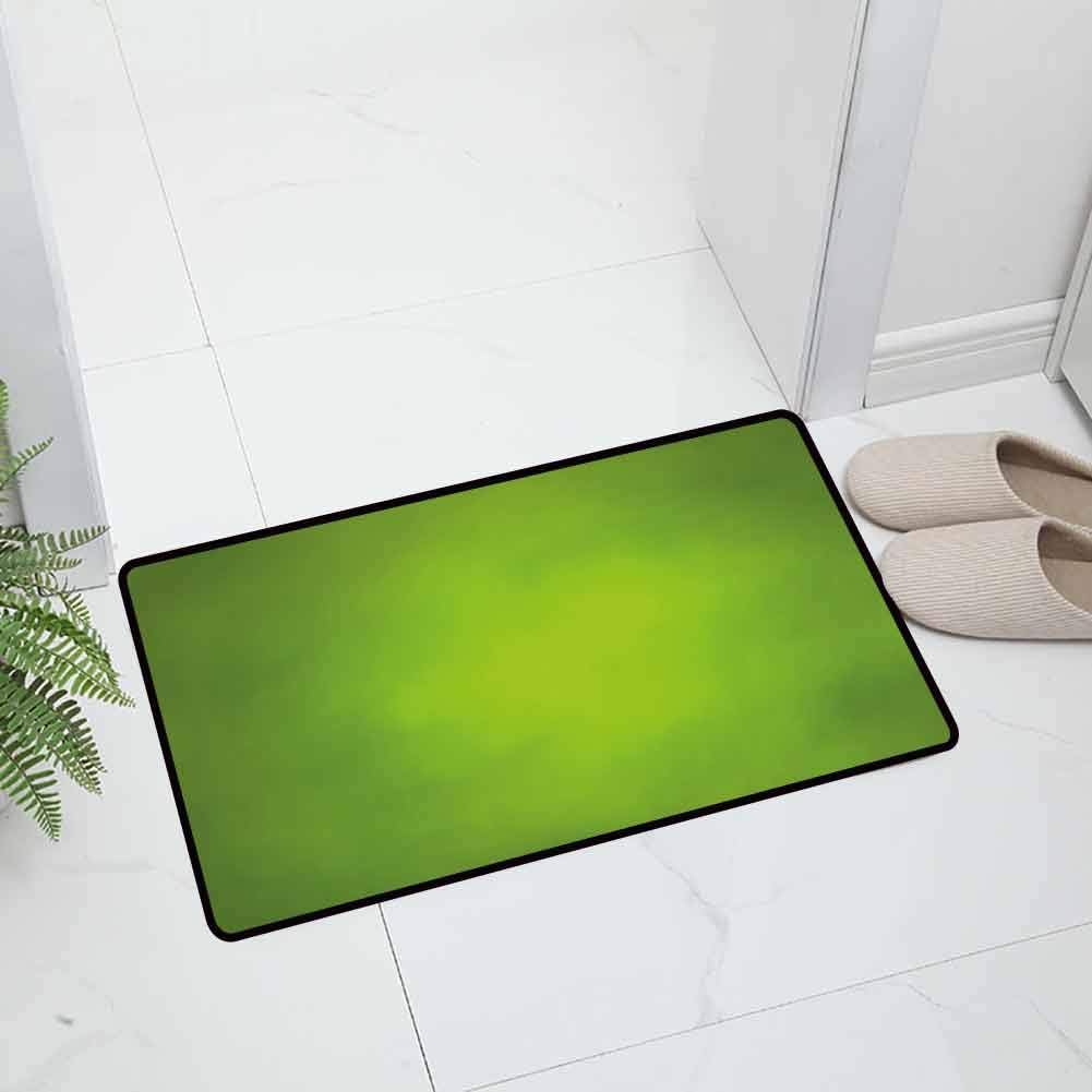 Sage Durable Door mat Abstract Green Background with Blurred Color