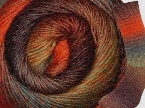 Amazon Com Wisdom Yarns Poems Sock 965 Pumpkin Patch