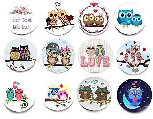 Shengchu 12 Owl Fridge Magnets - Office Magnets Set,Dry Erase Board Magnets, Refrigerator Magnets For Whiteboard, Map, Home Decoration, Arts & Crafts, Office Organizing (Love Owl)