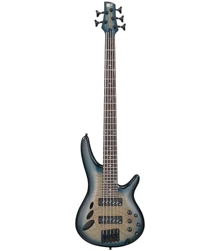 Amazon.com: Ibanez SR Bass Workshop Fretless 5-string Electric