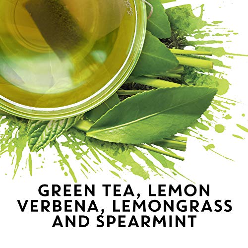 TAZO Zen Green Fresh Brewed Iced Tea Unsweetened Non GMO, 1 gallon, Pack of 24 Pricepulse