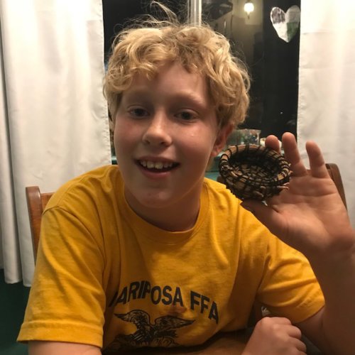 4 Coiled+Basket+Kit+Beginners+Needle