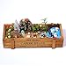 Garden Ornaments,Hmane Miniatur Ornament Kit Set for DIY Fairy Garten Dollhouse Dekor
