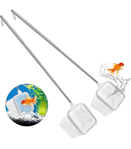 Amazon.com: 2 PCS Aquarium Shrimp Net, 2 Inch Small Fish Nets for Fish Tank with Long Extendable Stainless Steel Handle, Round Fine Mesh Net for Fishes Shrimp Tank Pond Creek Food Residue Amazon.com: 2 PCS Aquarium Shrimp Net, 2 Inch Small Fish Nets for Fish Tank with Long Extendable Stainless Steel Handle, Round Fine Mesh Net for Fishes Shrimp Tank Pond Creek Food Residue