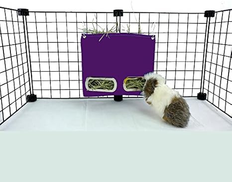 amazon guinea pig hay